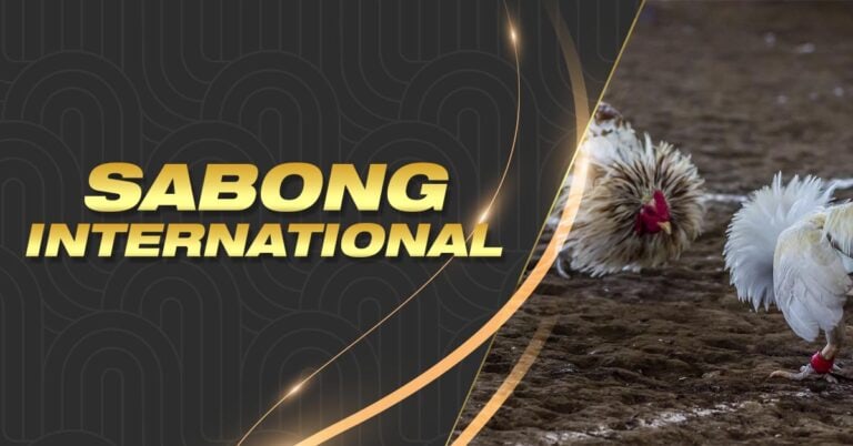 jl88 slot new member register free 100 slot